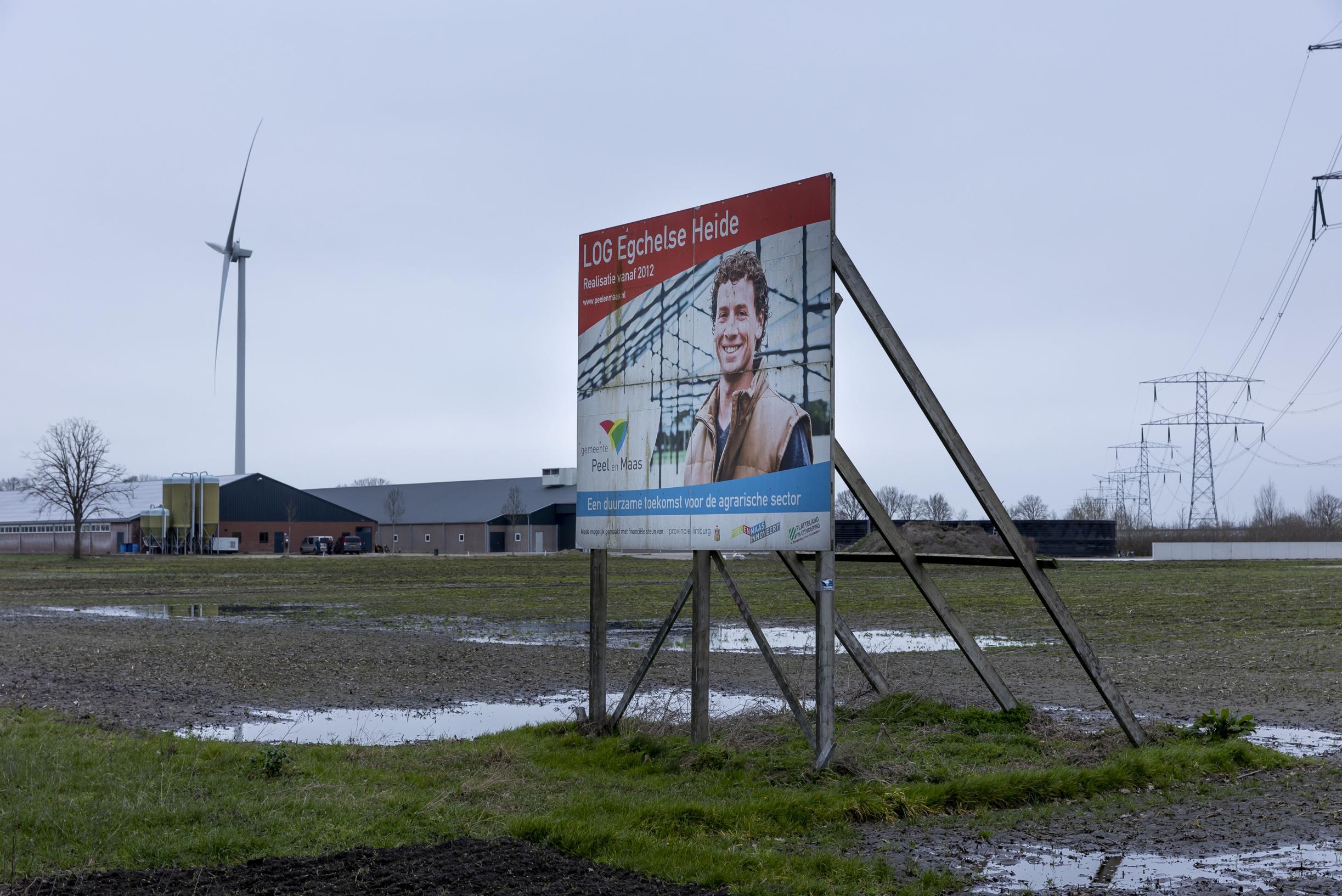 Enquête actiegroep Big Pig City en natuurfederatie: ‘Is Egchel voor of tegen 25.000 varkens extra?’